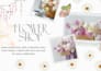 do professional canva flyers,brochures and pamphlets